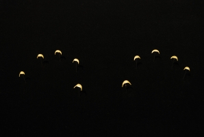 Artist´s Nails, 2015